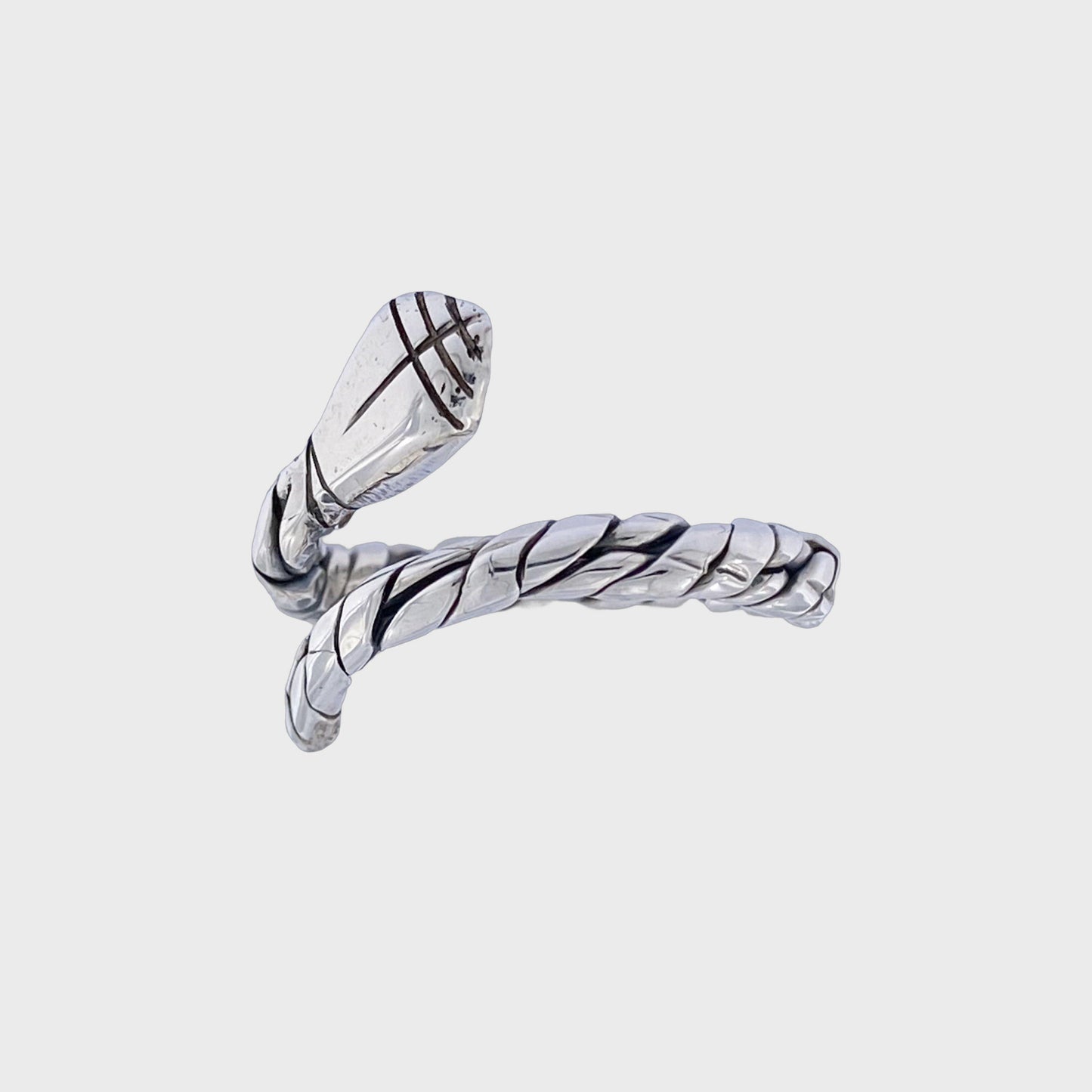 INFINITY RING - snakeway.it